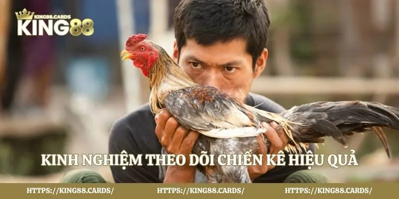 Kinh nghiệm theo dõi chiến kê hiệu quả